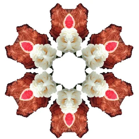 Maison Berger Paris - Náplň do difuzéru Sladký grapefruit, 200 ml