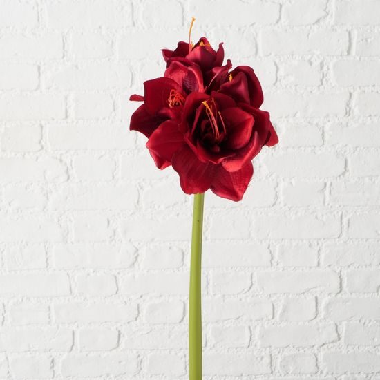 Květina Amarylis červená 71cm