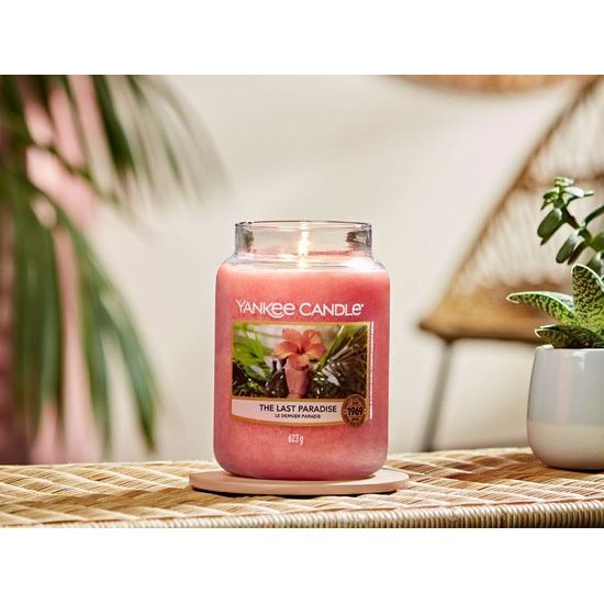 Yankee Candle - votivní svíčka The Last Paradise, 49 g