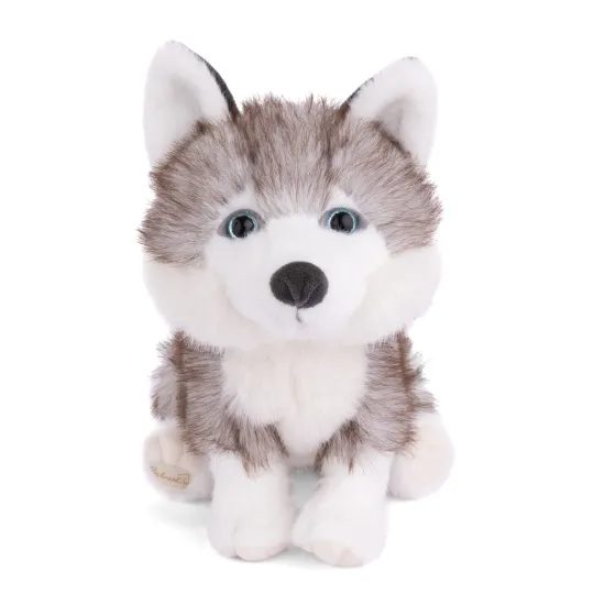 Plyšový pejsek Sweet Husky, 25 cm