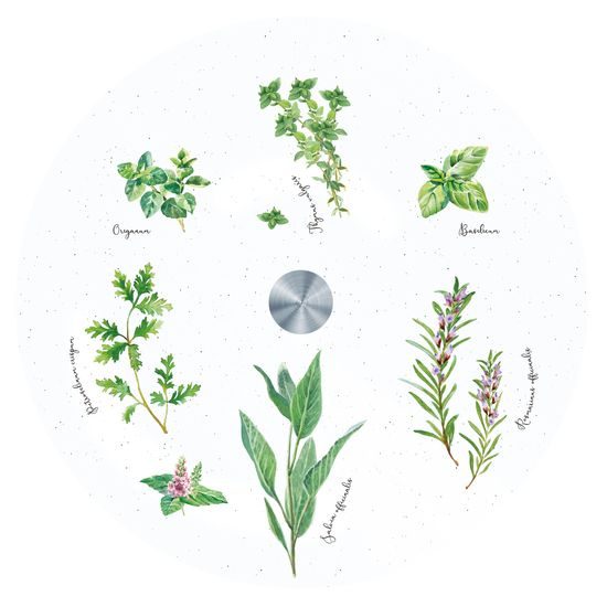 Otočný skleněný servírovací podnos Herbarium 32cm, Easy Life