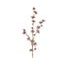 Větvička se šiškami, 8x16x94 cm