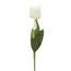 Umělá květina tulipán bílý, 34cm