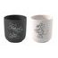 Man. Rock Mickey Mouse Sada hrnků bez ucha 2ks, Villeroy & Boch