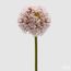 Umělá květina Allium okrasný česnek světle růžový, 78x14 cm