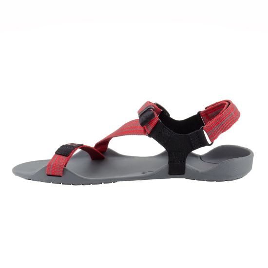 XERO SHOES 20 Z-TREK M Multi-Red 3