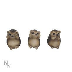 Three Wise Hedgehogs