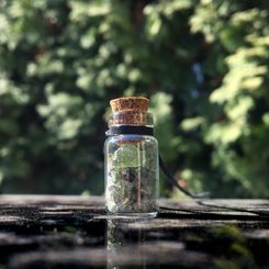 Bottle with MOLDAVITES, necklace