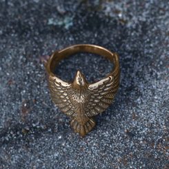 CORVUS, raven, bronze ring