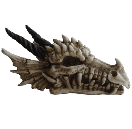 SKULL OF THE DRAGON, OPENABLE BOX