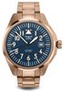 AVIATOR AIRACOBRA 43 AUTO V.3.39.2.335.5 - AIRACOBRA 43 AUTO - ZNAČKY