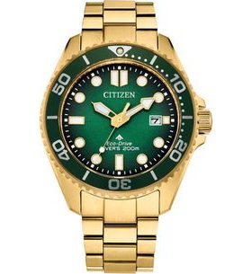 CITIZEN PROMASTER MARINE DIVER ECO-DRIVE BN0262-59W - PROMASTER - ZNAČKY