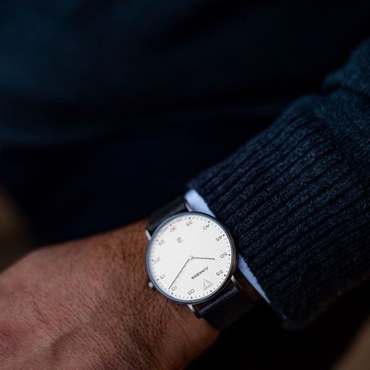 JUNKERS DESSAU STREAMLINE 40 950.02.03 - DESSAU HERREN - ZNAČKY