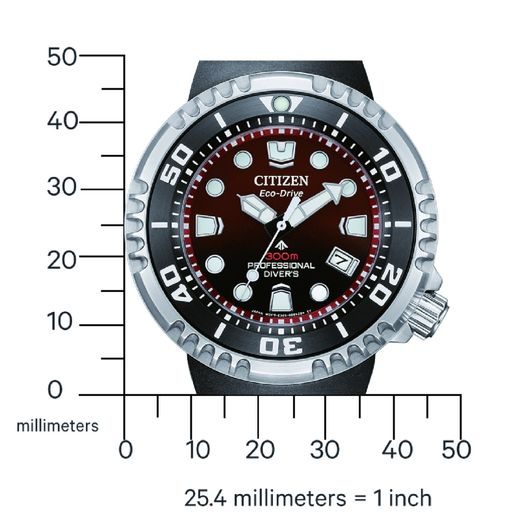 CITIZEN PROMASTER PROFESSIONAL DIVER 300 ECO-DRIVE BN1024-01Z - PROMASTER - ZNAČKY