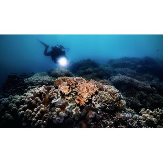 ORIS AQUIS DATE CALIBRE 400 43,5 MM GREAT BARRIER REEF LIMITED EDITION IV 01 400 7790 4185-SET - AQUIS - ZNAČKY