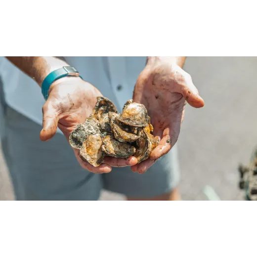 ORIS AQUIS DATE NEW YORK HARBOR LIMITED EDITION II 43,5 MM 01 733 7789 4187-SET - AQUIS - ZNAČKY