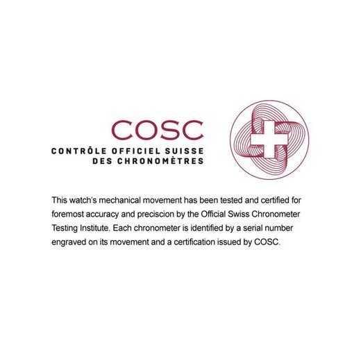 FORMEX REEF 42 AUTOMATIC CHRONOMETER BRONZE DIAL - REEF - ZNAČKY