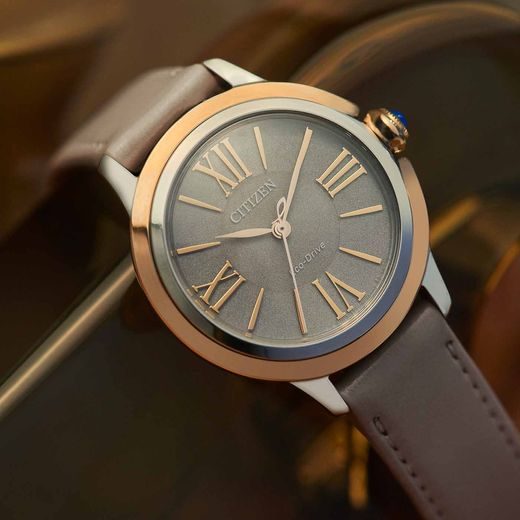 CITIZEN L ECO-DRIVE EM1166-01Z - ELEGANT - ZNAČKY