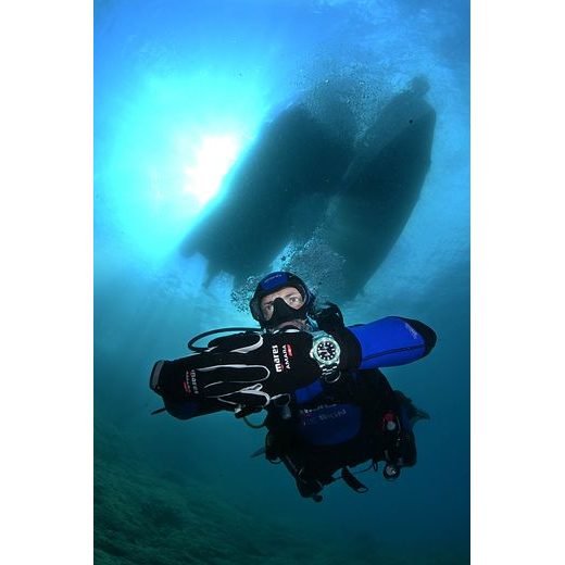 DAVOSA TERNOS PROFESSIONAL 68H 161.538.70 - TERNOS - ZNAČKY