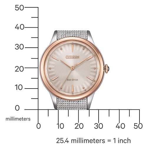 CITIZEN L ECO-DRIVE EM1156-80X - ELEGANT - ZNAČKY
