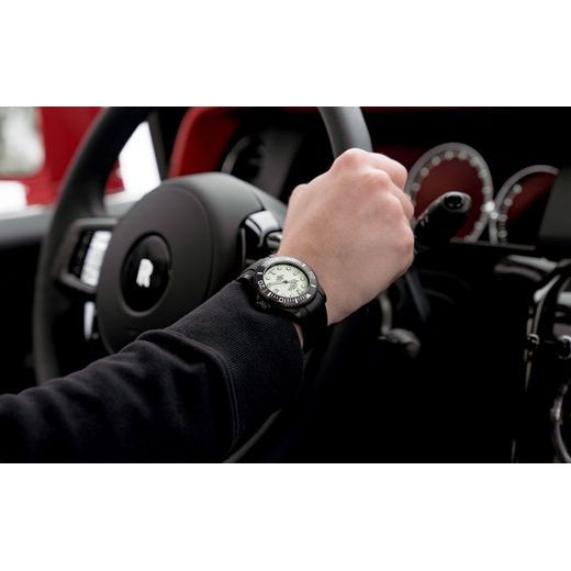 DAVOSA TERNOS PROFESSIONAL MEGALUME AUTOMATIC 161.583.10 - TERNOS - ZNAČKY