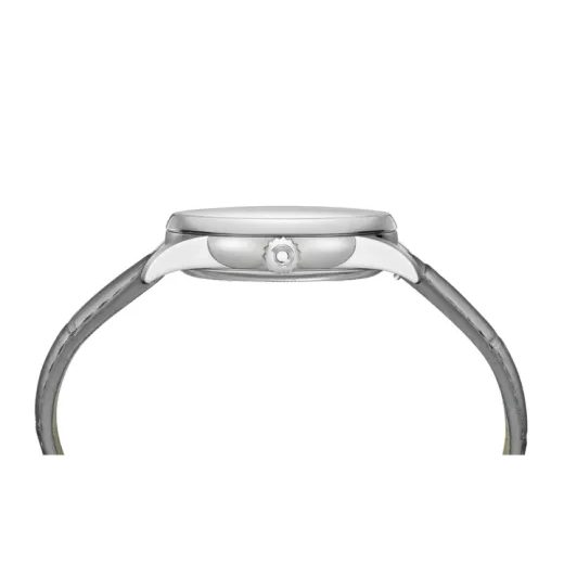 CERTINA DS-1 DAY DATE C029.430.16.011.01 - DS-1 - ZNAČKY