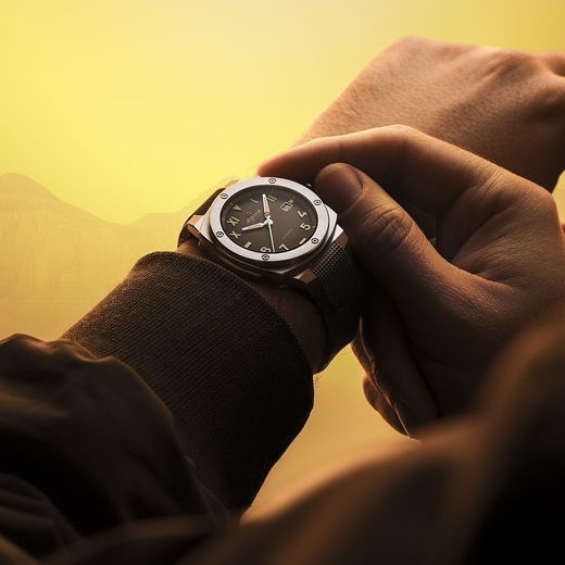 ALPINA ALPINER EXTREME AUTOMATIC CALIFORNIA AL-525BRG3AE6 - ALPINER AUTOMATIC - ZNAČKY