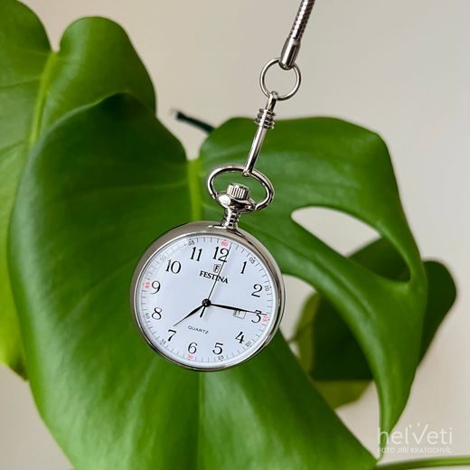 FESTINA POCKET 2019/1 - POCKET - ZNAČKY