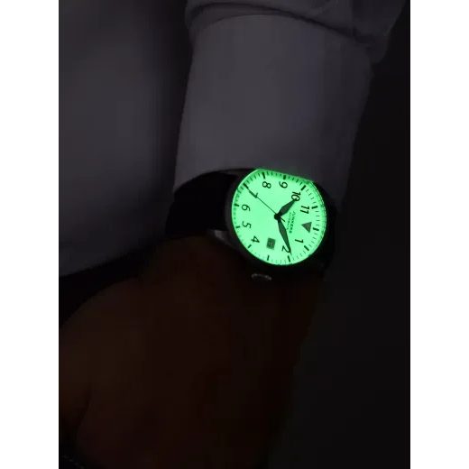 JUNKERS 100 YEARS NIGHT FLIGHT 958.03.13 - SONDEREDITIONEN - ZNAČKY