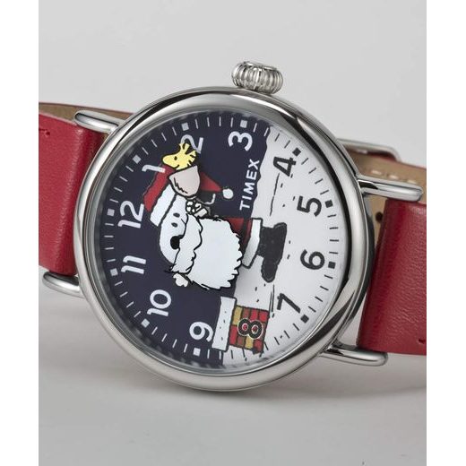 TIMEX PEANUTS® WATERBURY TW2W44400BR - TIMEX - ZNAČKY
