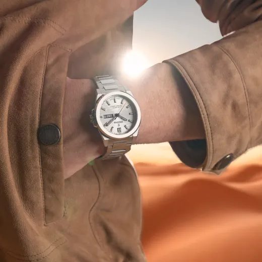 FESTINA SWISS MADE DUNE SILVER 20073/1 - SWISS MADE - ZNAČKY