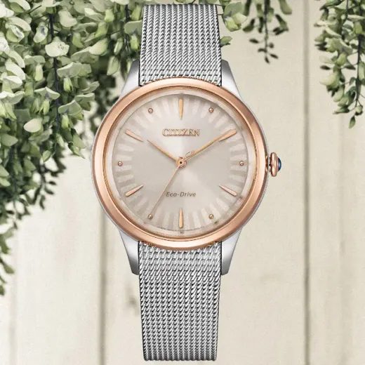 CITIZEN L ECO-DRIVE EM1156-80X - ELEGANT - ZNAČKY