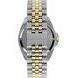TIMEX DEEPWATER ARCTIC TW2Y64700UK - TIMEX - ZNAČKY