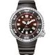 Citizen Promaster Professional Diver 300 Eco-Drive BN1024-01Z