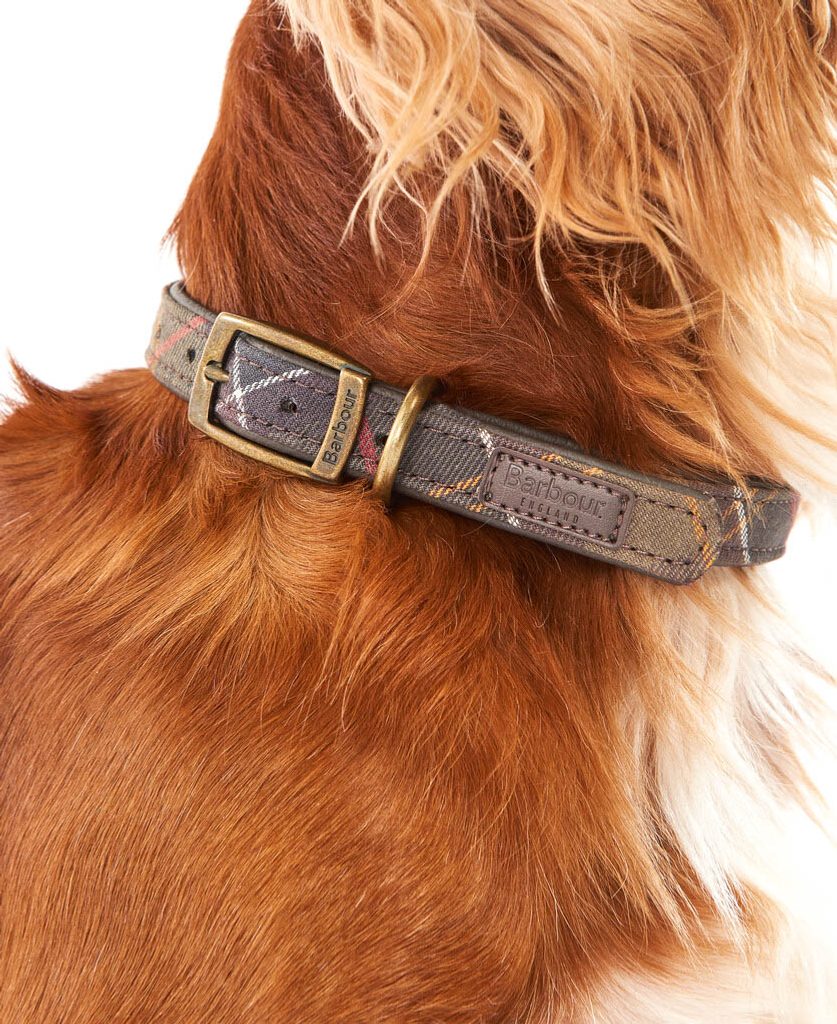 Gentleman Store - Hundehalsband Tartan Barbour - Barbour - Für den Hund -  Geschenke
