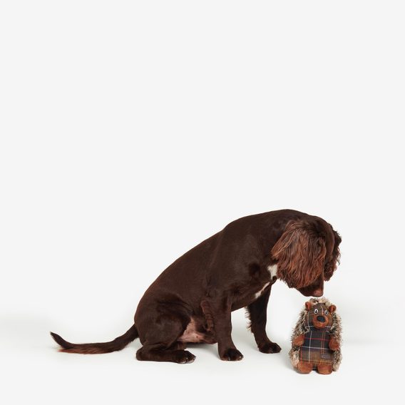Barbour Hedgehog Dog Toy