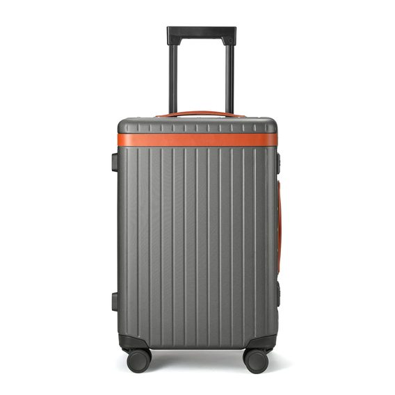 Carl Friedrik The Carry-on