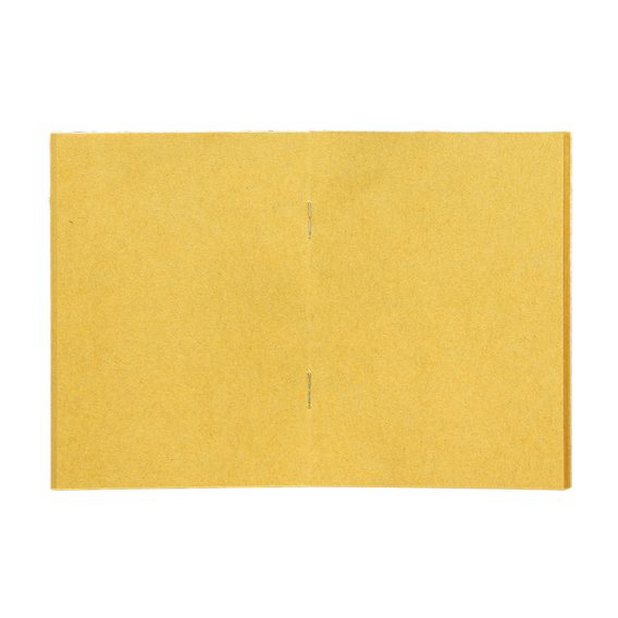 Einlage: Gelbes Kartonpapier (Passport)