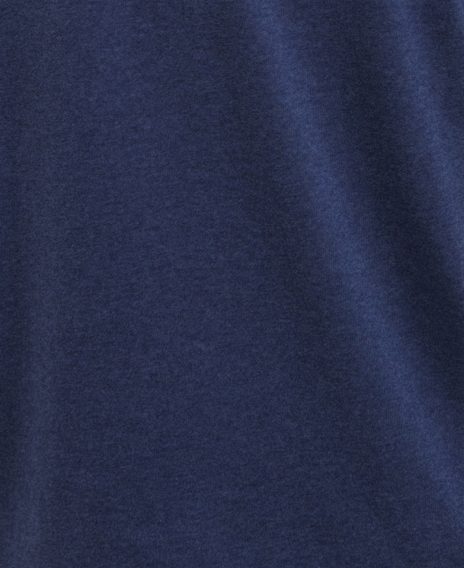 Barbour Perham Grafik T-Shirt — Indigo