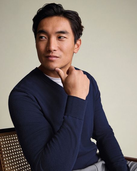 Charles Tyrwhitt Pure Merino V-Neck Jumper — Navy