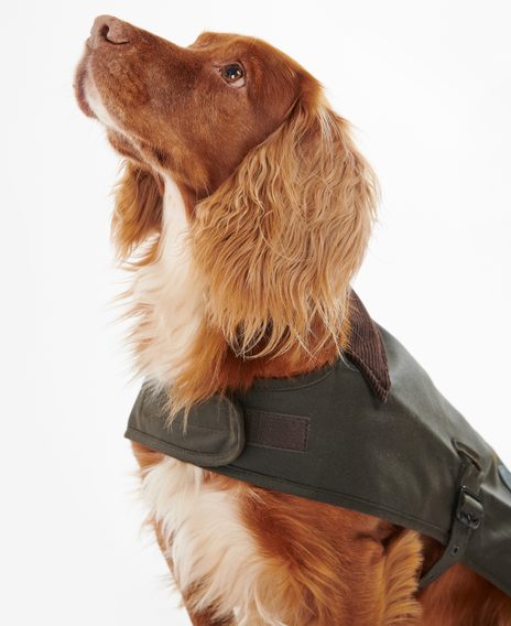 Barbour Wax Dog Coat