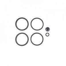 REPLACEMENT RUBBER PARTS GRIMECA BRAKE CALIPERS ARIETE 12871-PI ZADNÁ