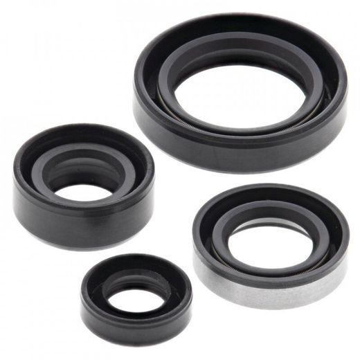 SADA GUFIER MOTORU WINDEROSA 822309