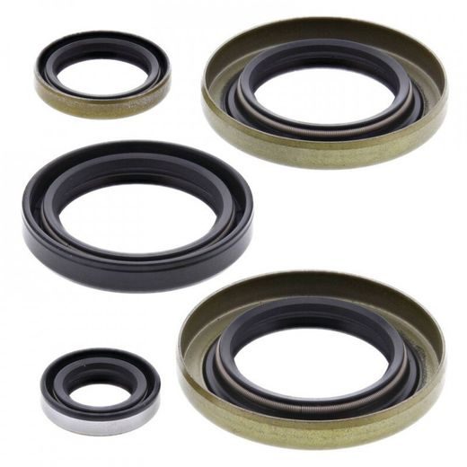 SADA GUFIER MOTORU WINDEROSA 822299