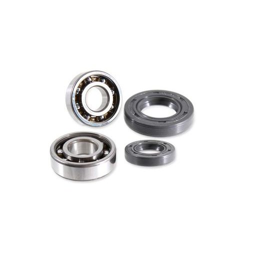 CRANKSHAFT REVISION KIT RMS 100200565