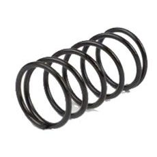 Pin spring cover RMS 121890120