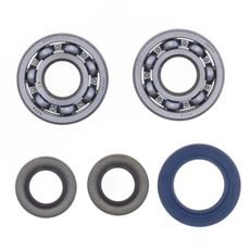 CRANKSHAFT REBUILDING KIT ATHENA P400270444042 (BEARING AND OIL SEAL KIT)