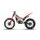 Motocykel Beta TRIAL SINCRO 2T 250 2026