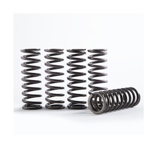 SÚPRAVA PRUŽÍN SPOJKY HI-TEMP HINSON CS641-6-1901 (SADA 6)