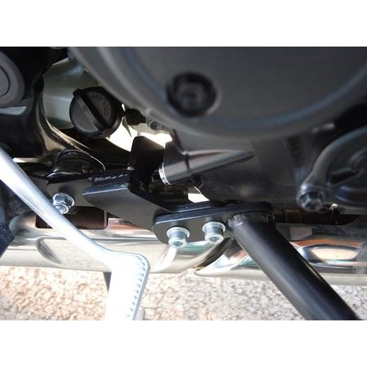 OCHRANA MOTORA RDMOTO CF193KD ČIERNA